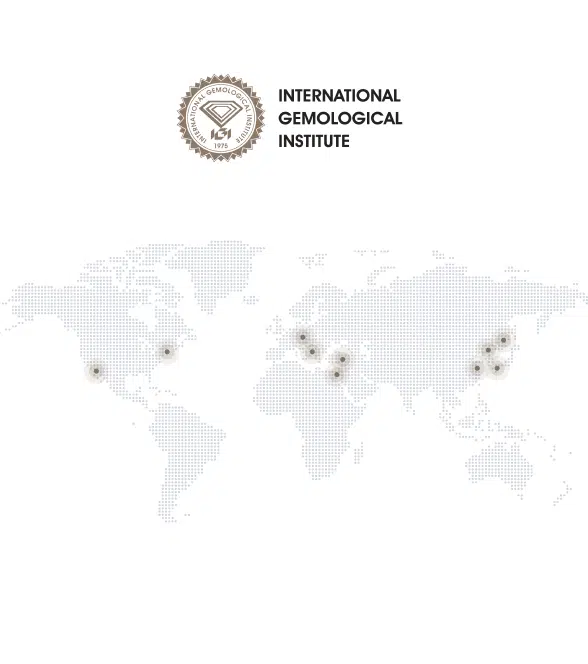 World Map